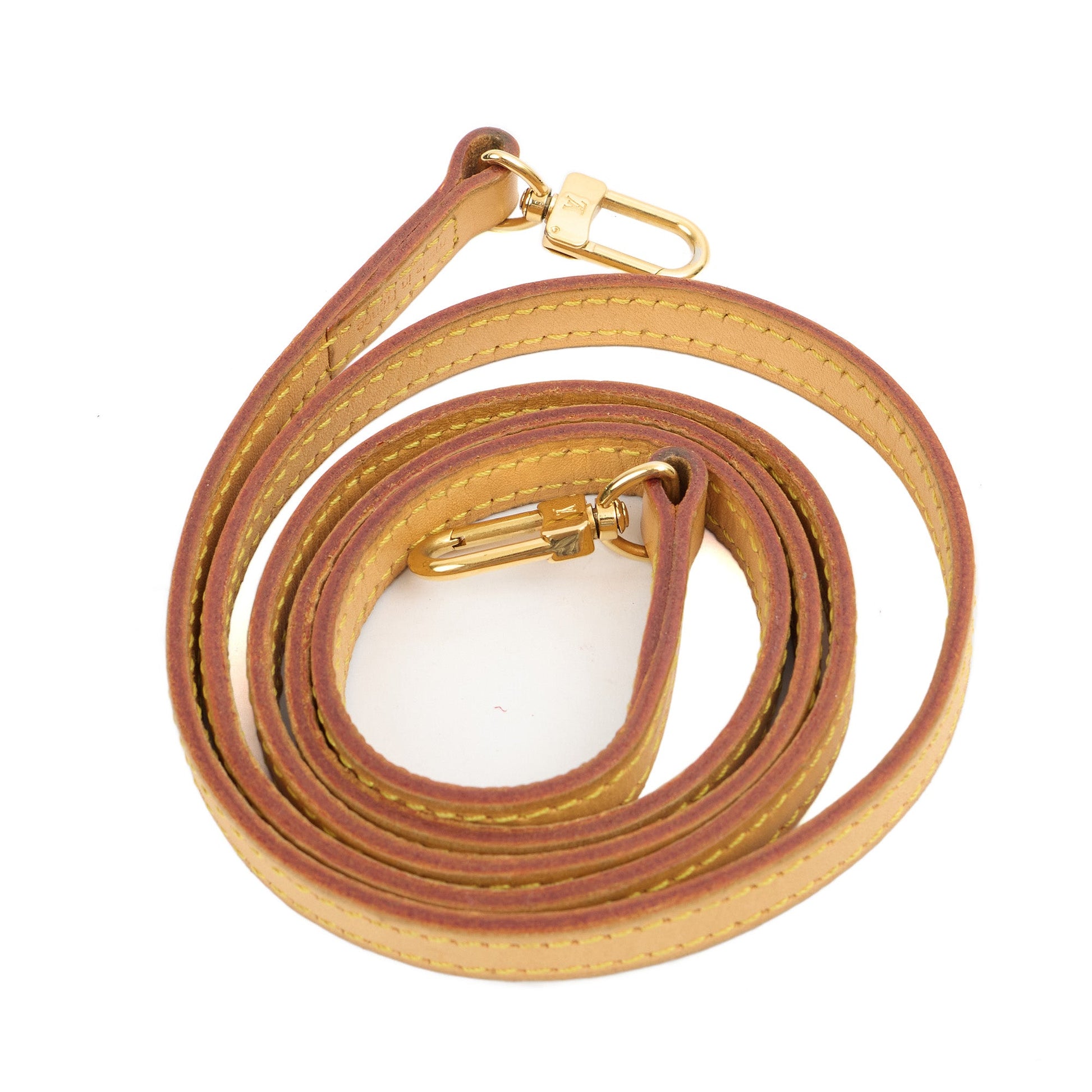 Louis Vuitton Mini Bag Speedy - Nano in Monogram, Canvas — Lifestyle View
