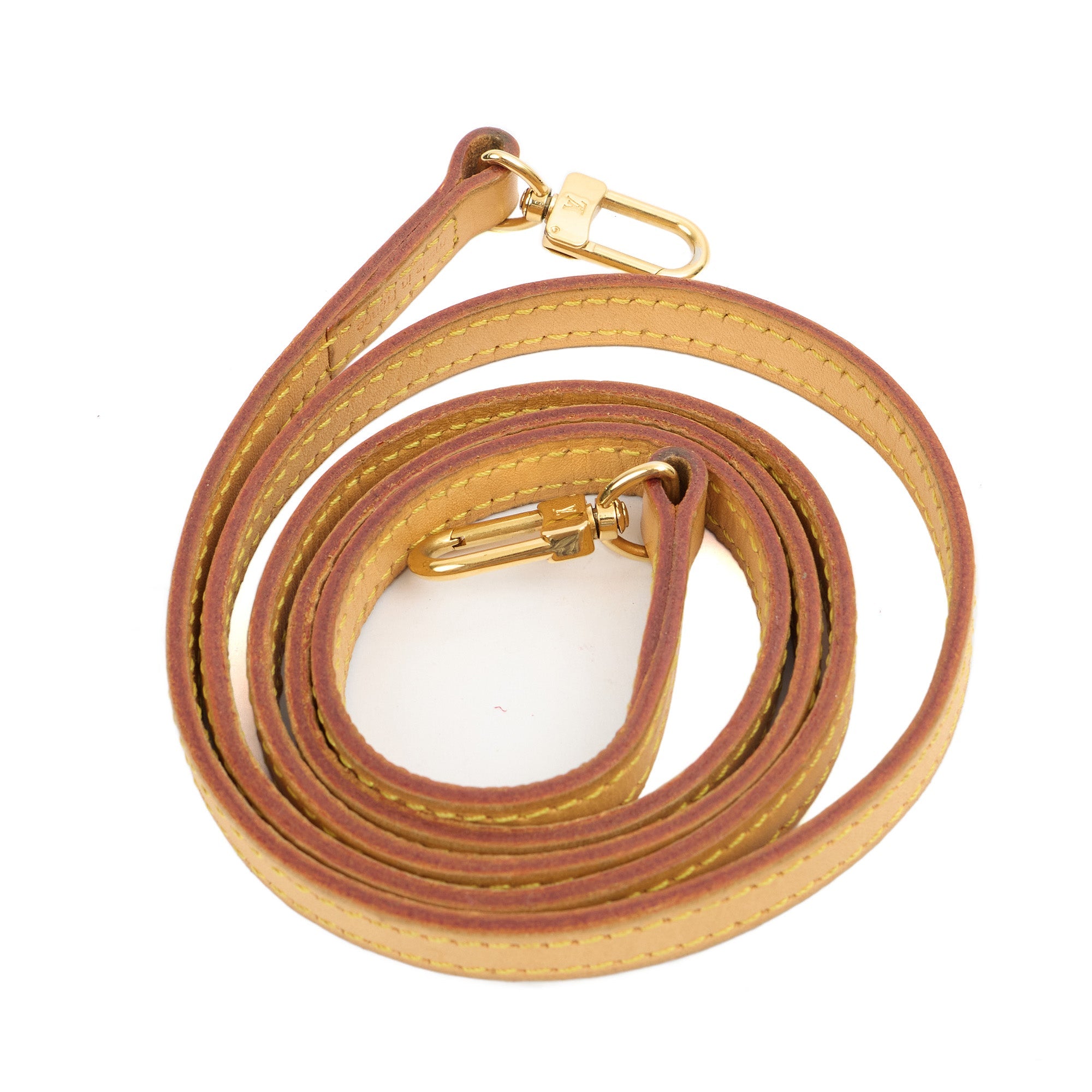 Louis Vuitton Mini Bag Speedy - Nano in Monogram, Canvas — Lifestyle View