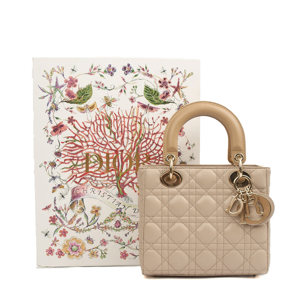 Christian Dior Tote Lady Dior Small in Neutral, Leather — Side View