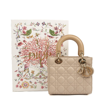 Christian Dior Tote Lady Dior Small in Neutral, Leather — Side View