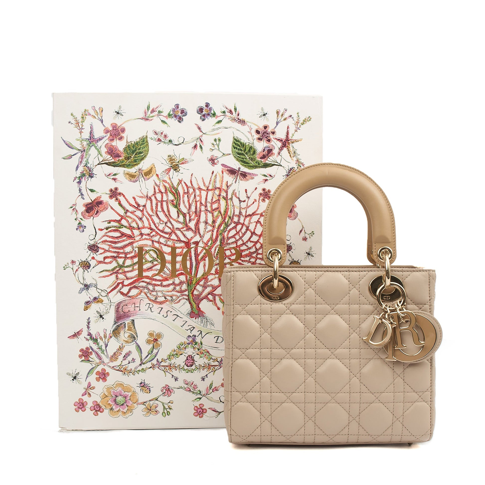 Christian Dior Tote Lady Dior Small in Neutral, Leather — Alternate View 9