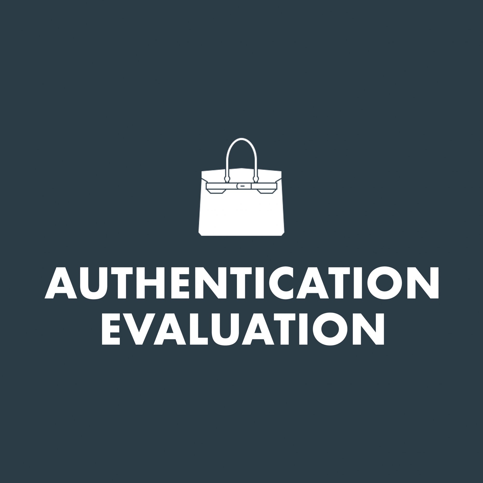 Authentication Evaluation — Online Evaluation — Size Chanel/Celine/Dior — Front View