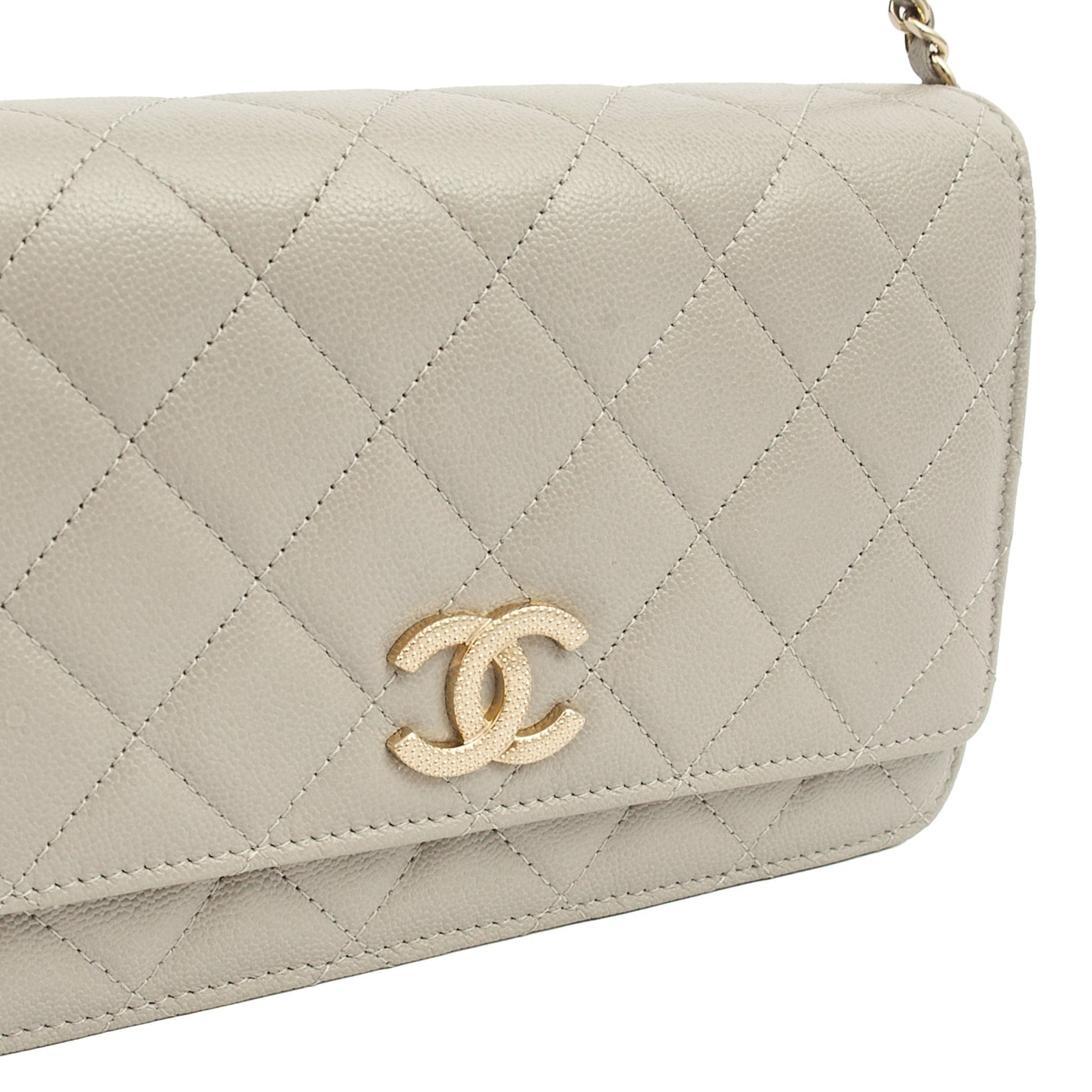 Chanel Cross Body Wallet on Chain in Grey, Caviar Leather (GHW) — Alternate View 8