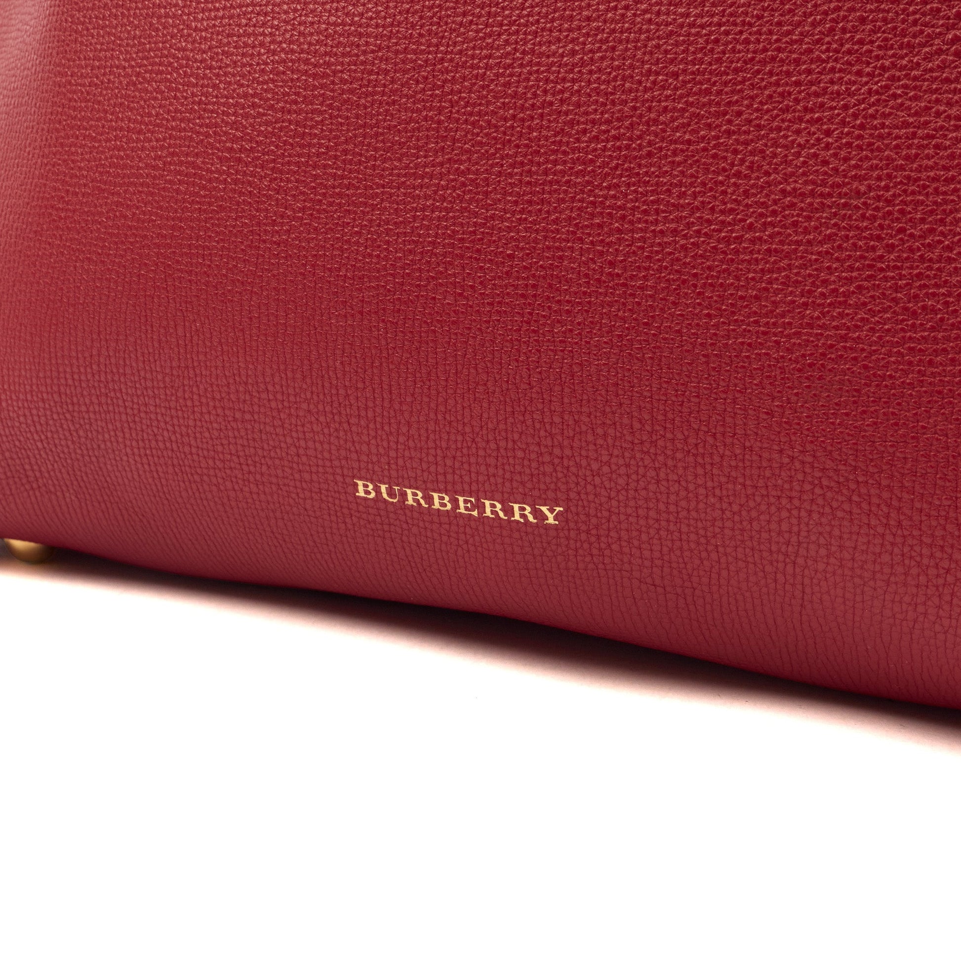Burberry Tote Banner - Small in Red, Leather — Lifestyle View
