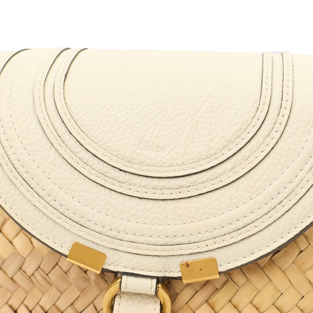 Chloe Tote Marcie Basket Bag- Mini in Neutral, Other — Lifestyle View