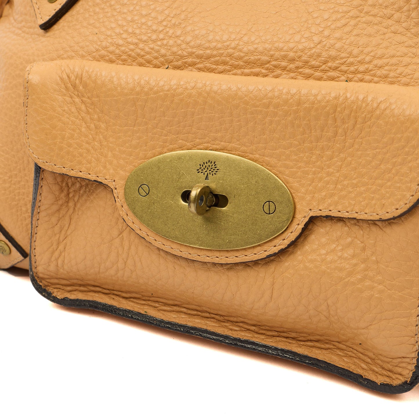 Mulberry Tote Vintage Tote  in Neutral, Calfskin Leather — Alternate View 18