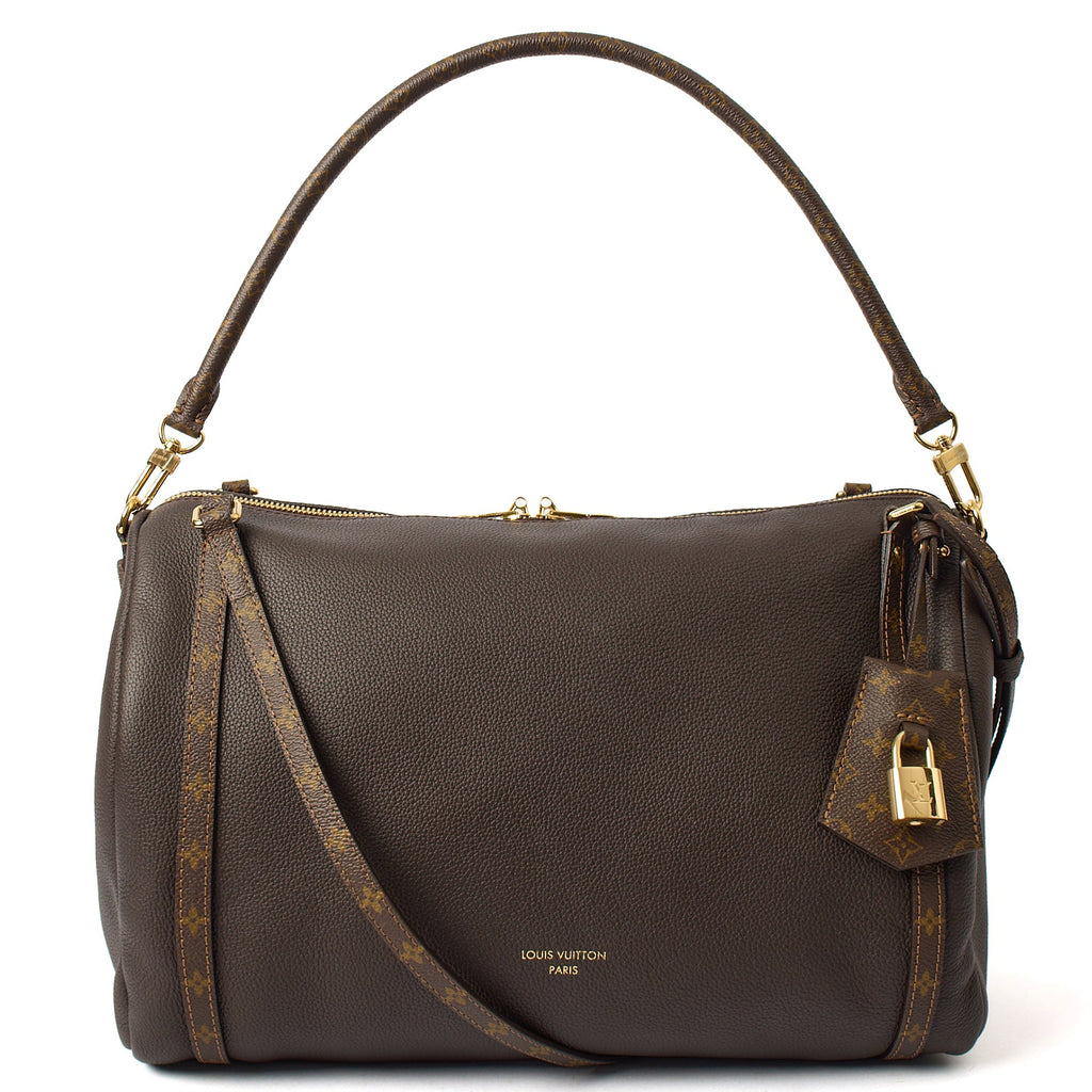Louis Vuitton Tote Express MM in Brown, Leather — Front View