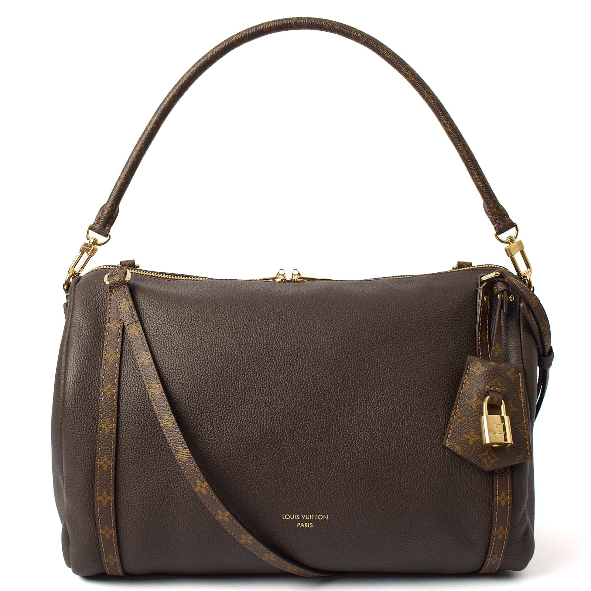 Louis Vuitton Tote Express MM in Brown, Leather — Front View