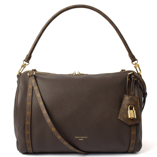 Louis Vuitton Tote Express MM in Brown, Leather — Front View