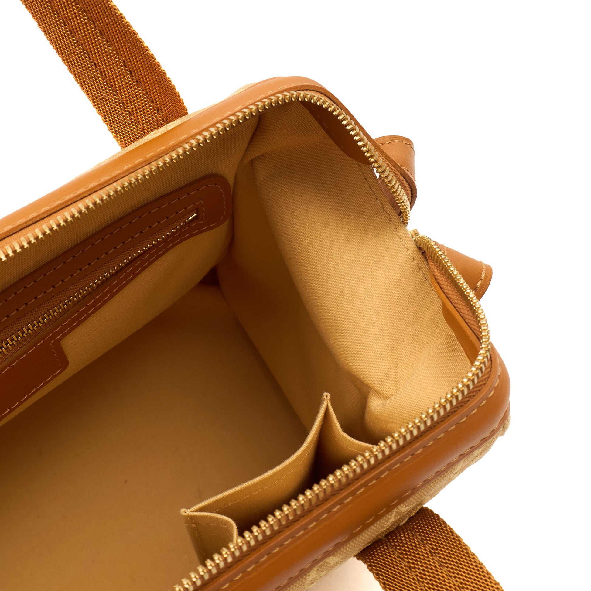 Louis Vuitton Top Handle Josephine PM in Mini Lin Beige, Leather — Lifestyle View