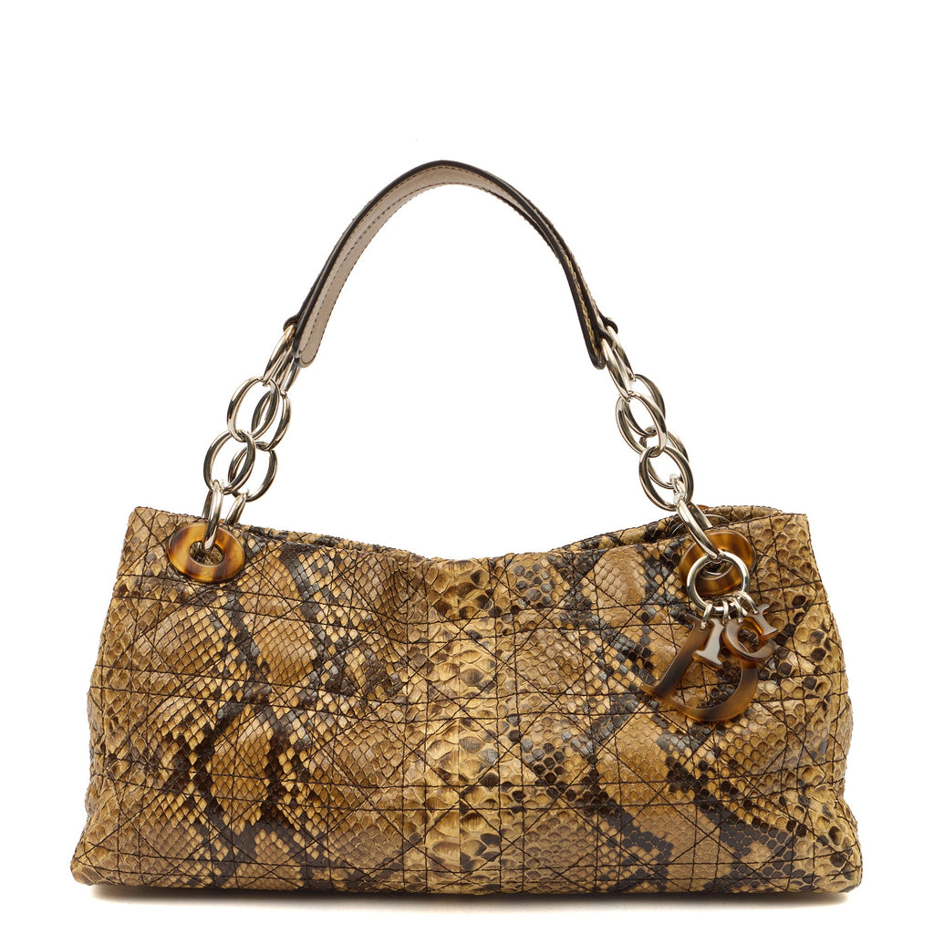Christian Dior Shoulder Bag East West Lady Dior in Brown, Python Leather — Front View