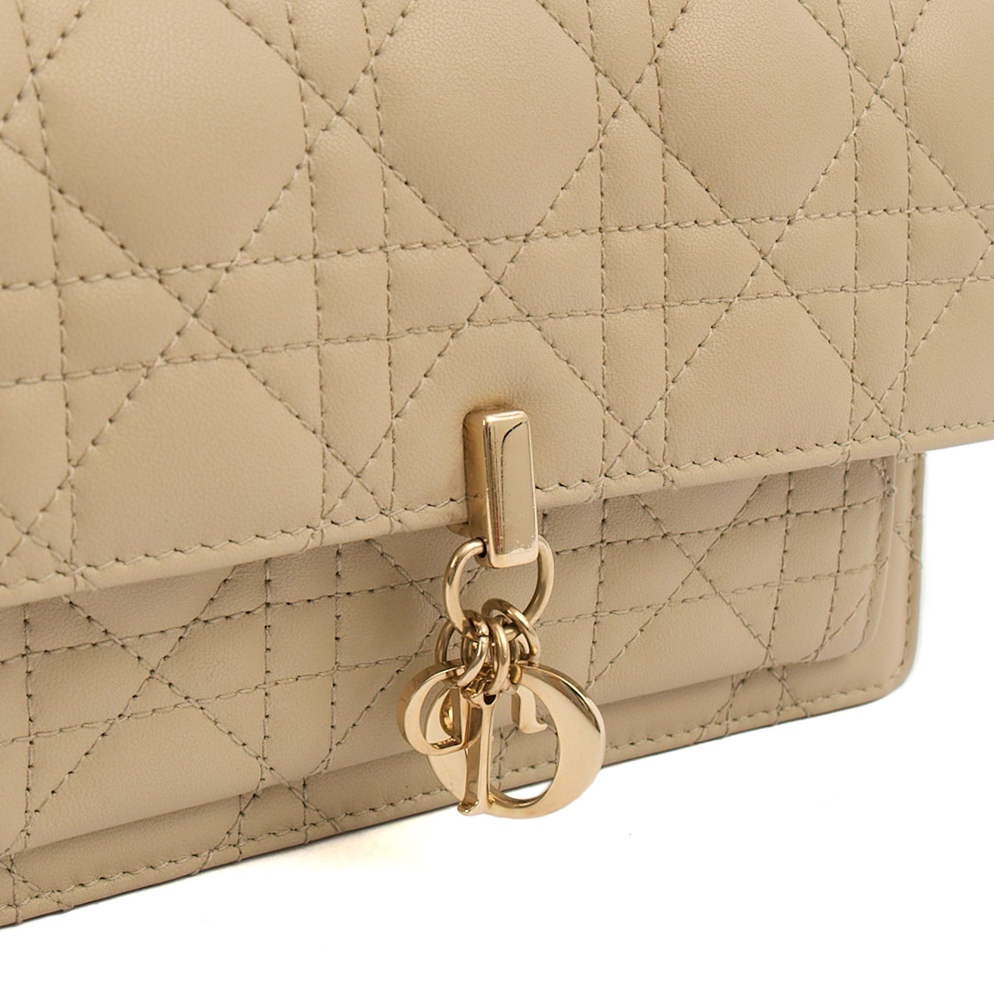 Christian Dior Cross Body My Dior Daily Chain Pouch in Neutral, Cannage Quilted Grain Skin — Alternate View 20