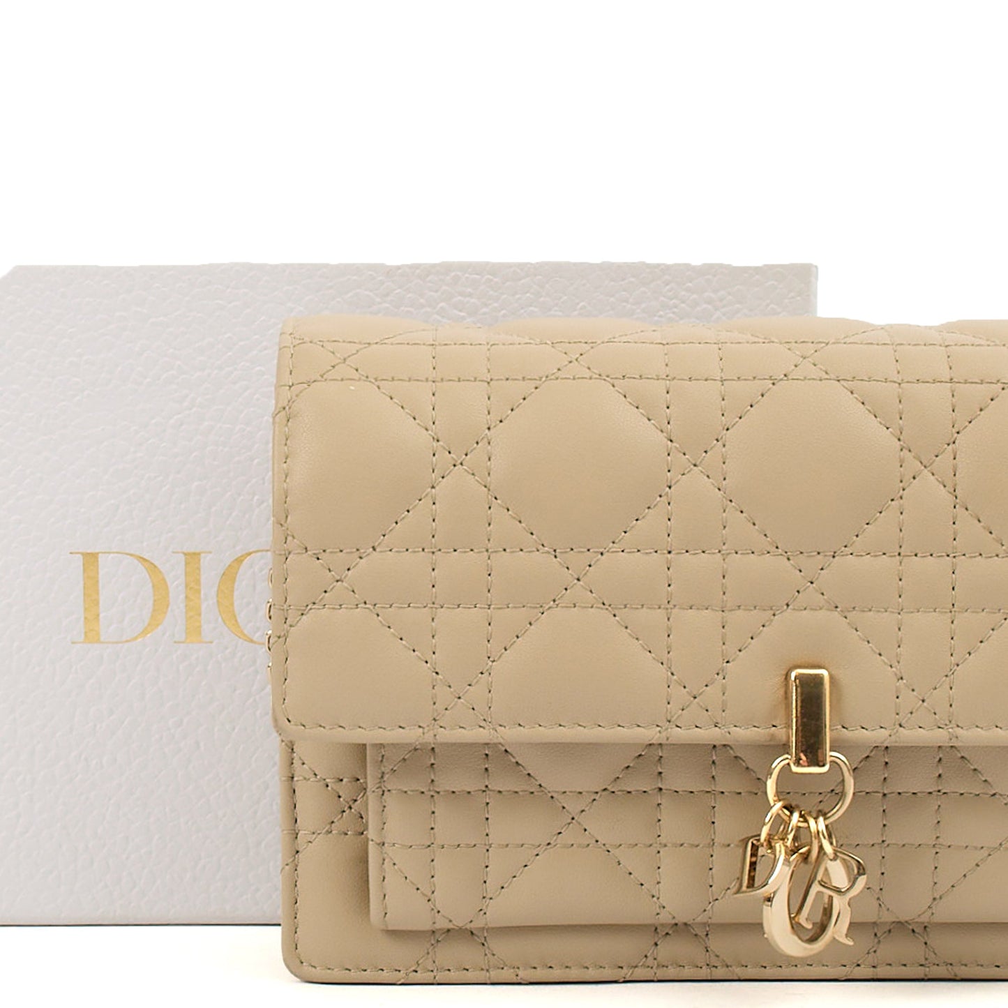 Christian Dior Cross Body My Dior Daily Chain Pouch in Neutral, Cannage Quilted Grain Skin — Alternate View 16