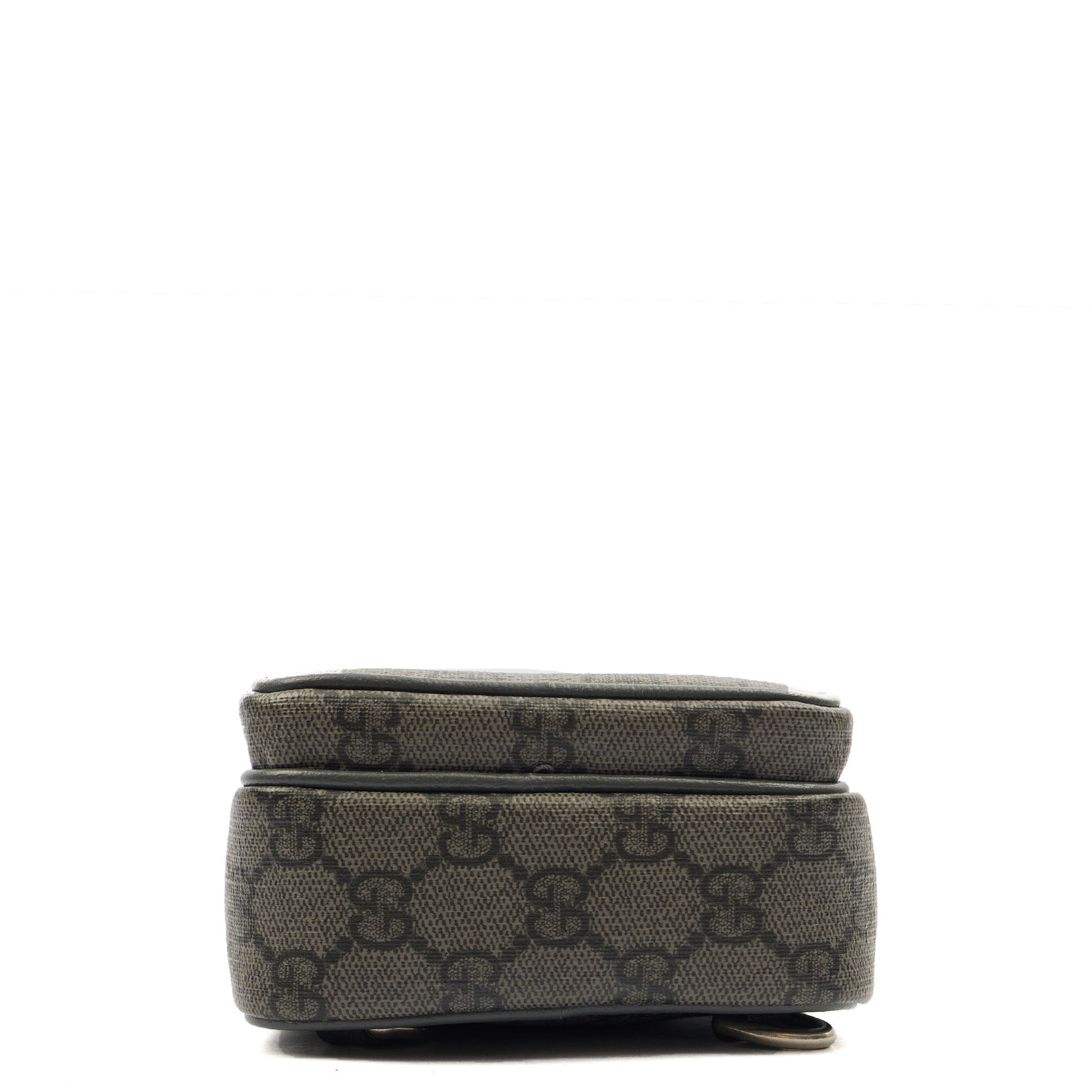 Gucci Cross Body Ophidia Crossbody in Grey, Leather — Top View