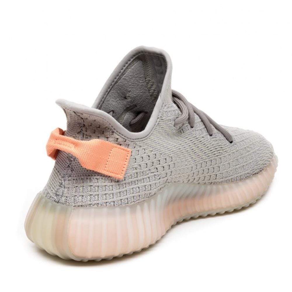 adidas Yeezy Boost 350 V2 True Form — 3 UK | 35.5 EU — Back View