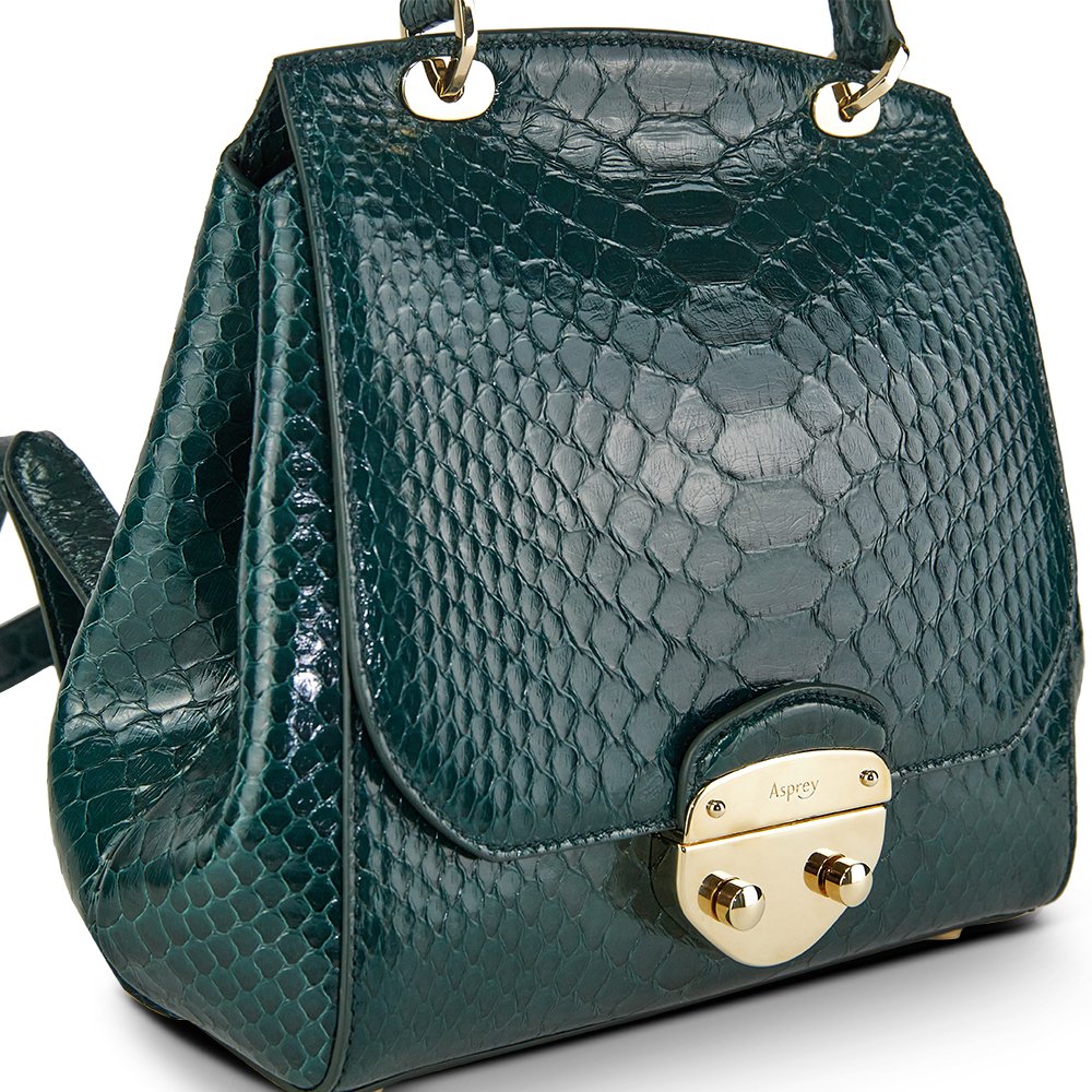 Asprey Backpack Tote in Green, Exotic — Lifestyle View