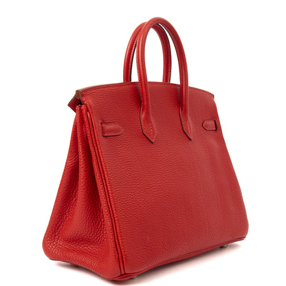 Hermes Birkin 25 in Rouge Garance, Togo Leather — Back View