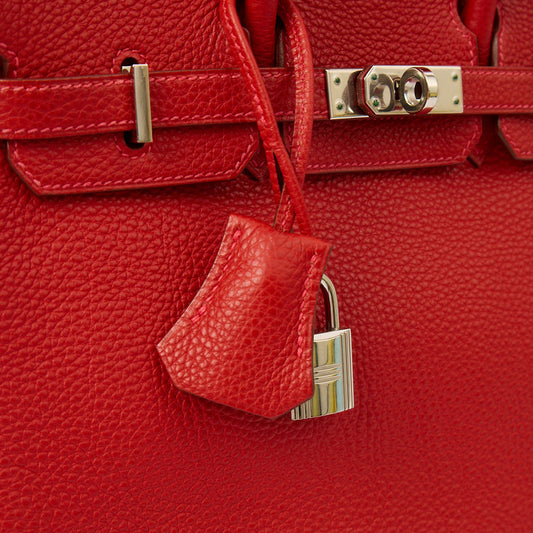 Hermes Birkin 25 in Rouge Garance, Togo Leather — Side View