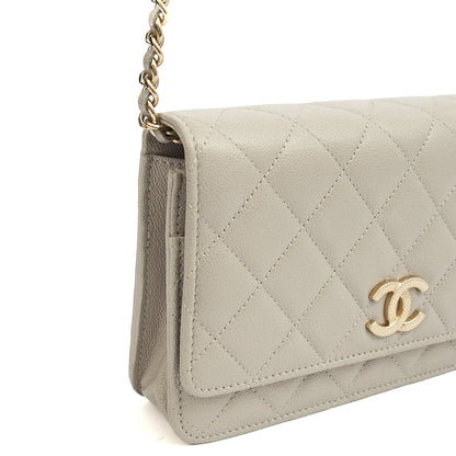 Chanel Cross Body Wallet on Chain in Grey, Caviar Leather (GHW) — Alternate View 7