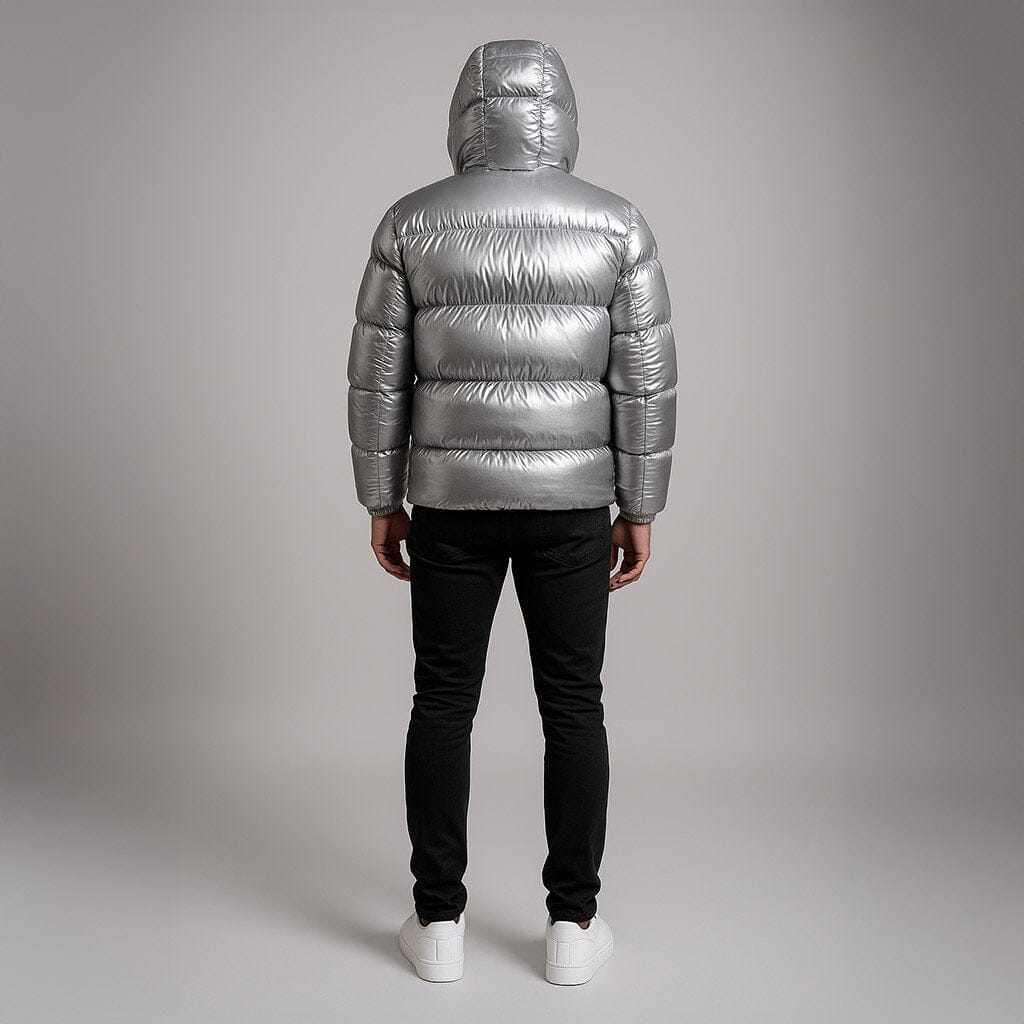 Helvetica Mountain Pioneers Cosmos Hooded Down Jacket - Silver — S — Size Silver — Top View