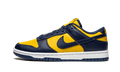 Nike Dunk Low Michigan - DD1391-700