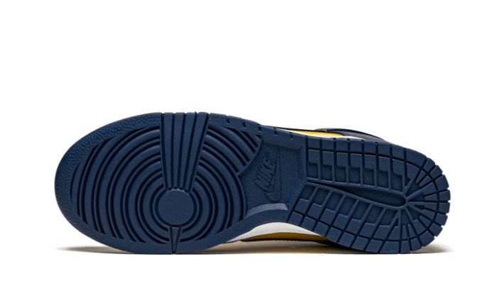 Nike Dunk Low Michigan - DD1391-700