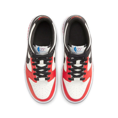 NBA x Nike Dunk Low EMB GS '75th Anniversary - Chicago' — UK 13.5 | EU 32 | US 1Y — Back View
