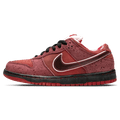 Nike Dunk Low Premium SB 'Lobster' — UK 3 | EU 35.5 | US 3.5 — Front View