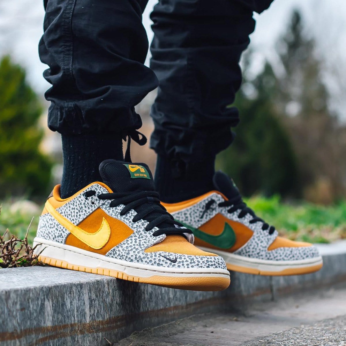 Nike Dunk Low Pro SB 'Safari' — UK 3 | EU 35.5 | US 3.5 — Lifestyle View