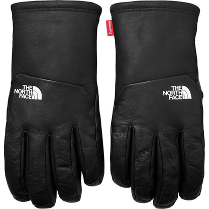 Supreme-The North Face Leather Gloves - Black — Back View